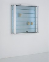 Glaswürfel vitrine - Die hochwertigsten Glaswürfel vitrine im Vergleich!